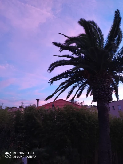 hotel sanary sur mer avec piscine